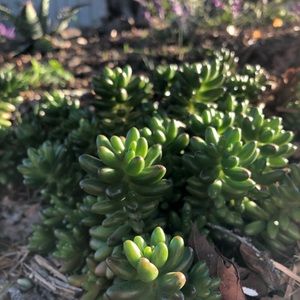 Meet your Posher, Bibiana